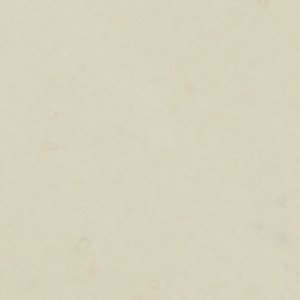 Angelfish 1 Eye Boat Shoe - Image 7