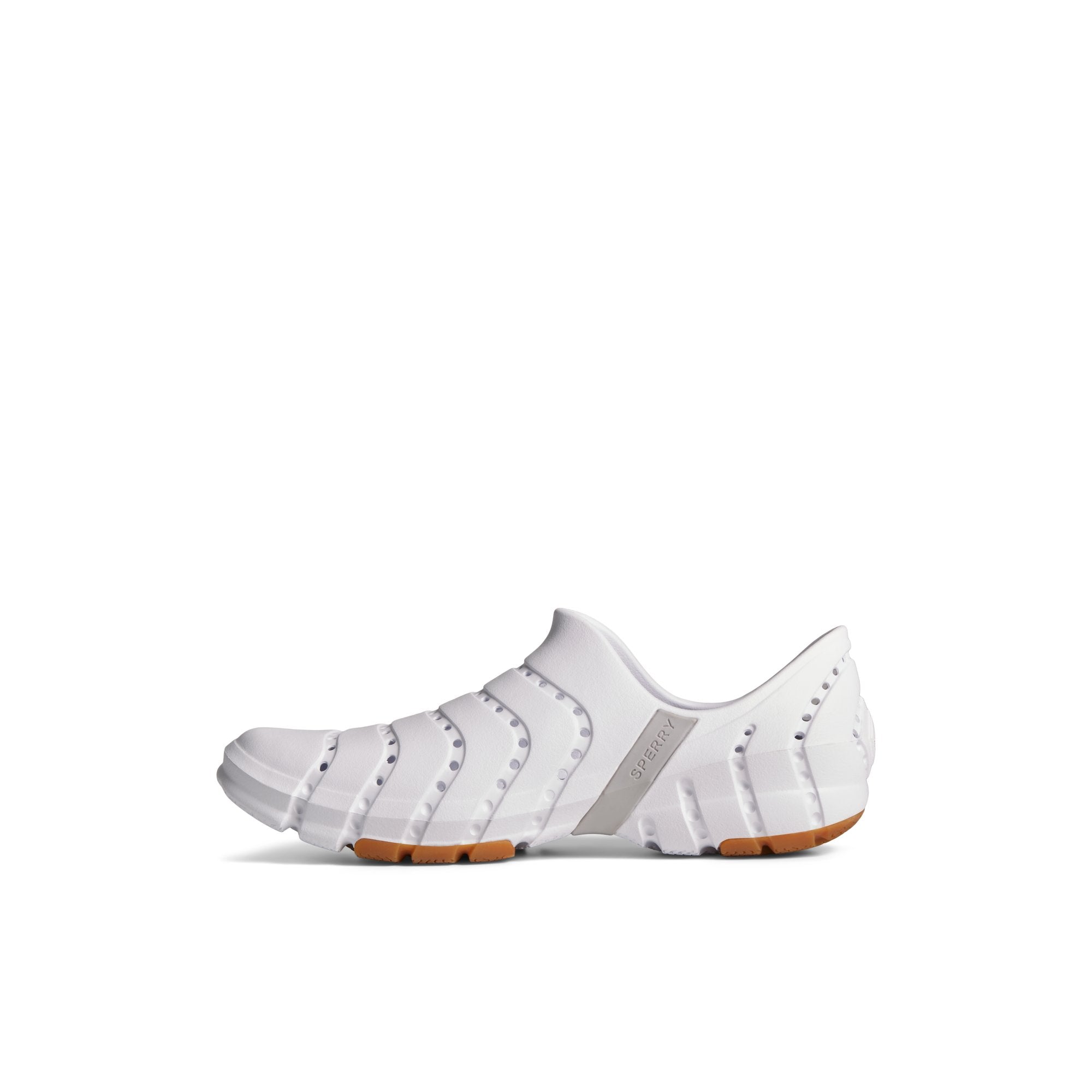 Water Strider - Image 2