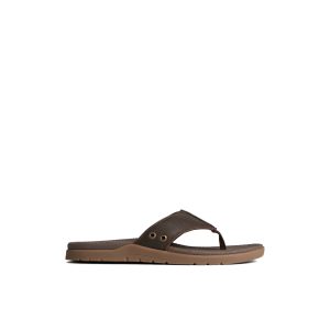 Santa Cruz II Thong Sandal