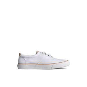 SeaCycled??? Striper II CVO Twill Sneaker